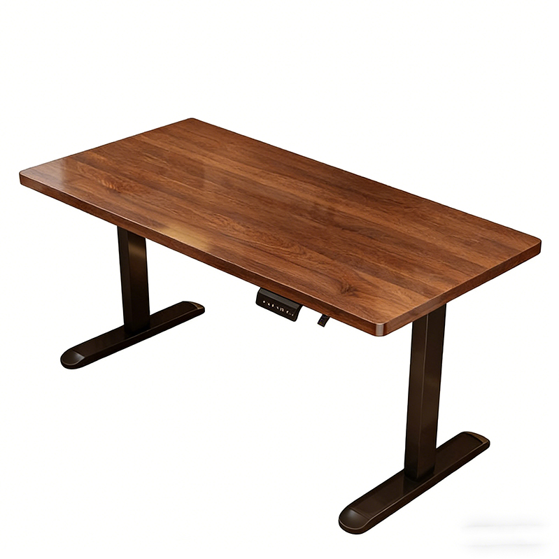 Modern Iron Dual Motor Electri - Desk Setup In Office review and price